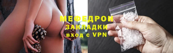 гашик Янаул