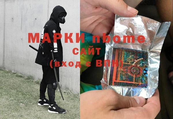 гашик Янаул