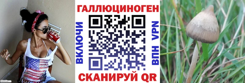 Купить где  Старый Крым  Галлюциногенные грибы Psilocybe 
